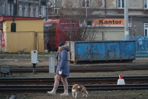 Las mascotas, las otras protagonistas de la invasión a Ucrania (FOTOS)