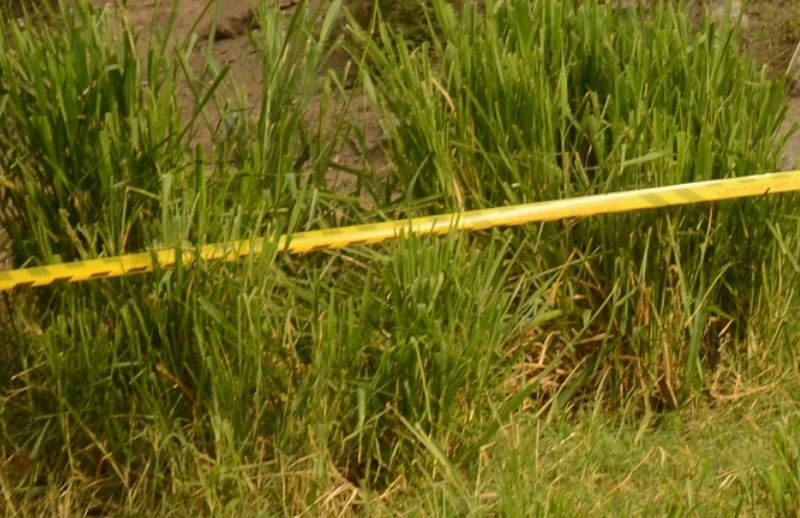 Hallaron a una mujer muerta dentro de una letrina en Nicaragua