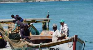 “Nada más nos queda el cansancio”: pesca venezolana naufraga por falta de combustible (Video)