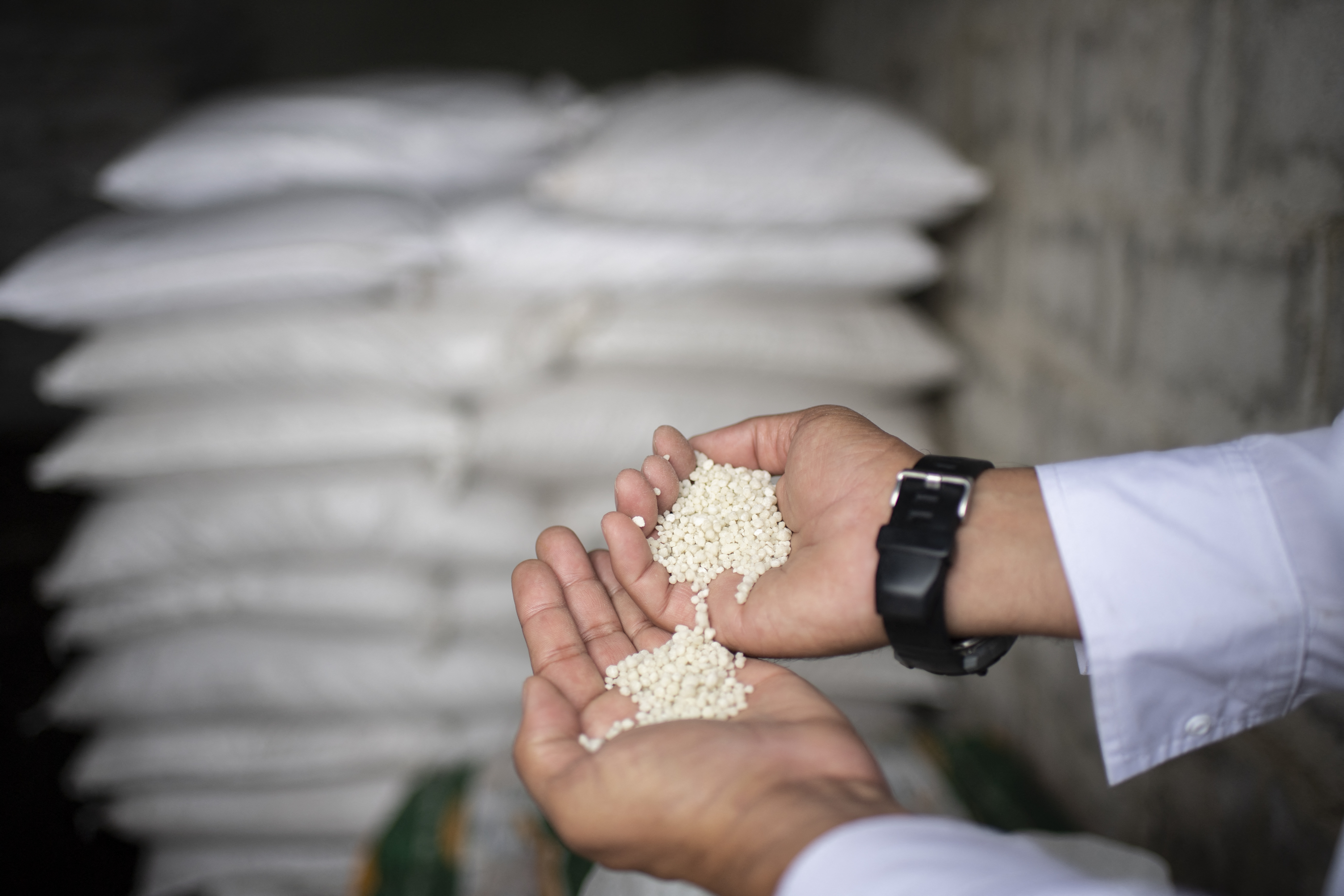 Régimen de Maduro “se prepara” para exportar fertilizantes durante el 2023