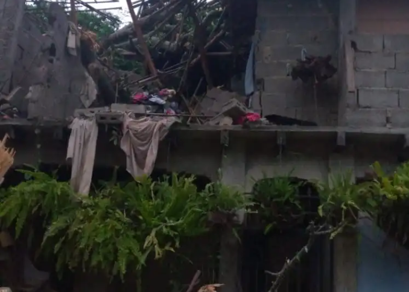 Varias familias afectadas tras colapso de un árbol en Trujillo (FOTOS)