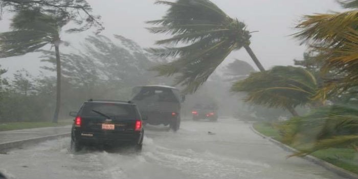 Alex, la primera tormenta tropical de la temporada dejó devastación al sur de Florida