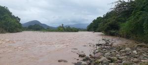 Denuncian que en Táchira se comercializan los pescados del contaminado río Torbes