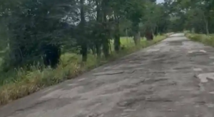 En un “viaje a la luna” se convierte transitar por la carretera de Mérida a San Cristóbal (VIDEO)
