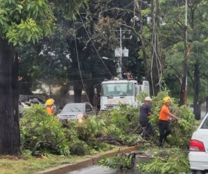 Corpoelec, Cantv y Movistar desconectaron a usuarios en Barinas por caos generado por aguacero