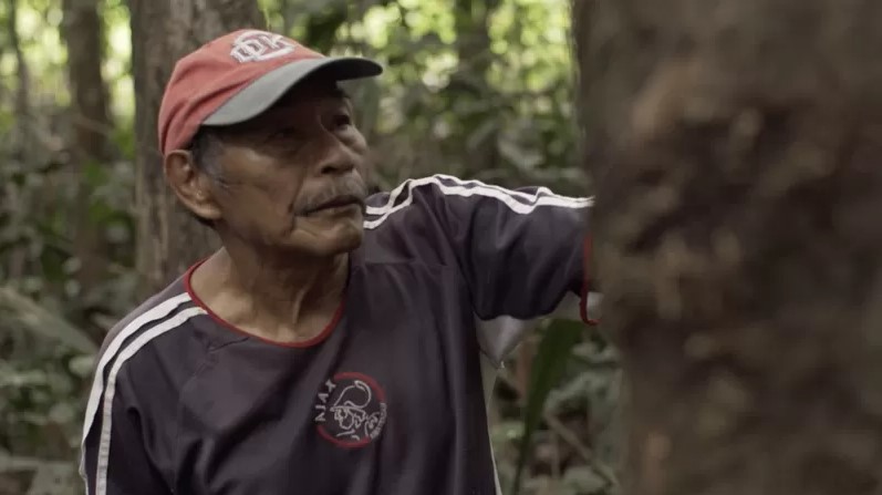 El Paraíso del diablo: las atrocidades del “holocausto del caucho” en la Amazonía de Colombia (Video)