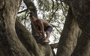 El Tarzán español enseña a la gente a trepar árboles y cómo comportarse como monos (VIDEO)