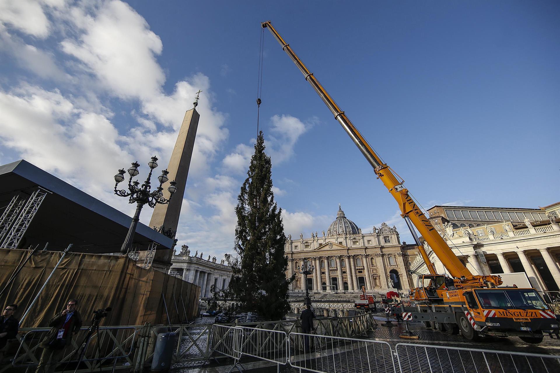 El hombre que evitó cortar el protegido árbol de Navidad del Vaticano