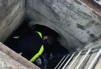 Florida: Rescatan a mujer de una alcantarilla por tercera vez en menos de dos años