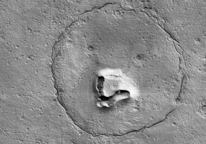 La explicación científica detrás de la curiosa foto de un oso en la superficie de Marte