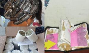 Los insólitos métodos que han utilizado los colombianos para camuflar drogas