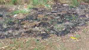 Constantes incendios en la vegetación afectan la salud de los habitantes del sur de Anzoátegui