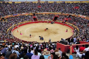 Minors can now enter bullfighting activities in Mérida