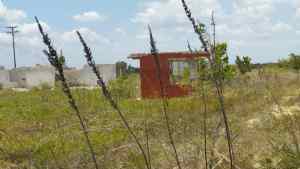 Una planta de etanol que se evaporó con la corrupción del chavismo en Monagas