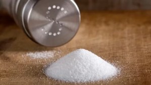 Cómo actúa la sal sobre las proteínas del cerebro para causar hipertensión y deterioro cognitivo