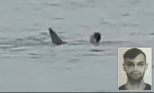 Turista ruso fue devorado por un tiburón en Egipto y las imágenes son terroríficas