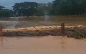 Barinas: En Camachero las vías agrícolas están convertidas en ríos