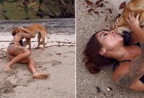 ¡Atrevida! Una perra casi deja sin ropa a una joven en la playa y el VIDEO explotó en TikTok