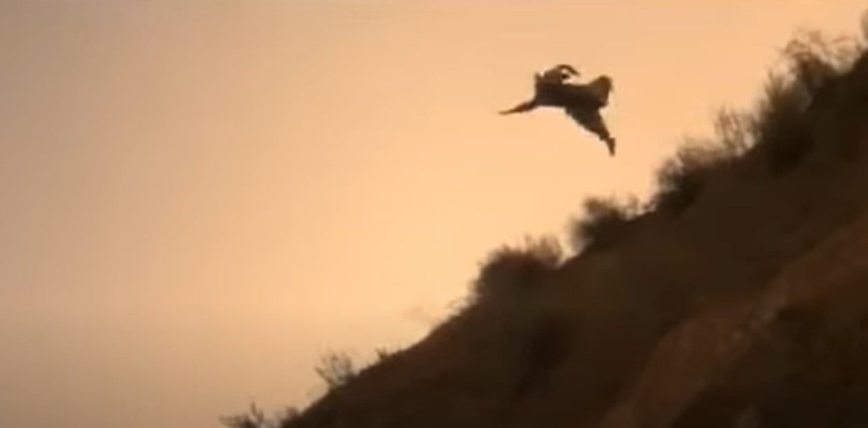 El doble de riesgo cuya muerte aparece en una película: saltó al vacío en el lugar incorrecto (VIDEO)