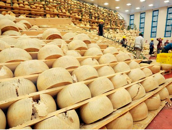 Tragedia en Italia: empresario murió aplastado por una avalancha de 25 mil quesos en su finca
