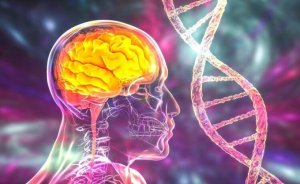 Científicos de Colombia y Argentina buscan identificar mutaciones del alzheimer