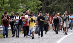 Corte de Colombia aprobó amparo para que migrantes venezolanos puedan trabajar en empresas de vigilancia