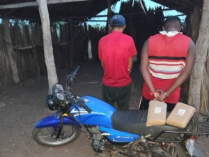 Inacautan 13 panelas de marihuana en un campamento clandestino en Guárico