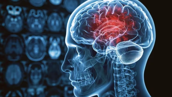 Los 12 datos sorprendentes del cerebro que aprendimos en 2023