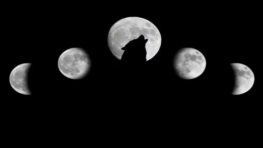 Luna llena de Lobo: cuándo y cómo disfrutar del primer espectáculo astronómico de 2024