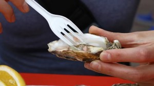 ¿Es verdad que las ostras pueden ser afrodisíacas?