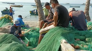 Alarming decrease in fish catch on the coasts of eastern Venezuela