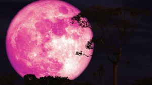 Luna rosa en EEUU: descubre las mejores ciudades para ver el fenómeno astronómico