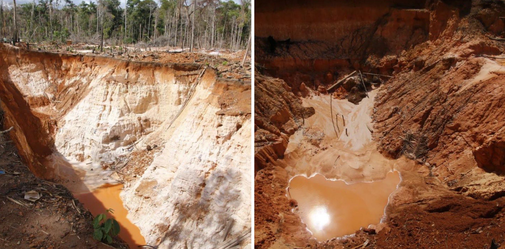 SOS Orinoco desmintió a general chavista y alertó que sigue creciendo la deforestación en la mina Bulla Loca