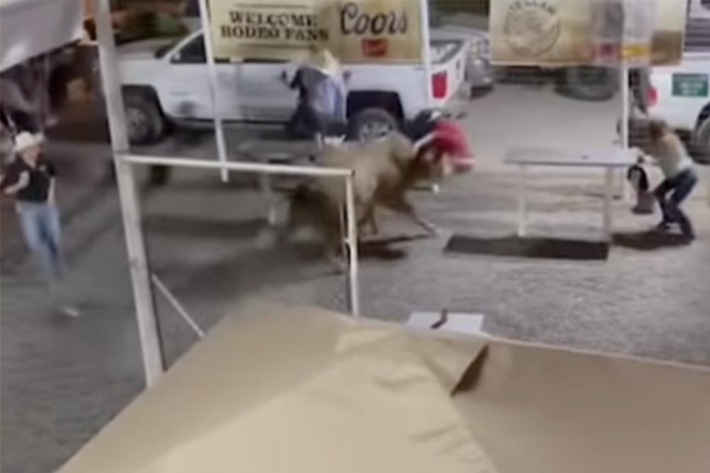 Pánico en Oregón: Toro de rodeo escapa de espectáculo y corneó a una mujer vestida de rojo (VIDEO)